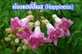 ห้องพักแฮปปี้เน็ส